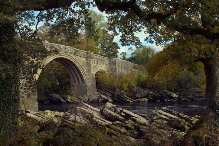 Devils bridge at kirkby lonsdale framed by trees